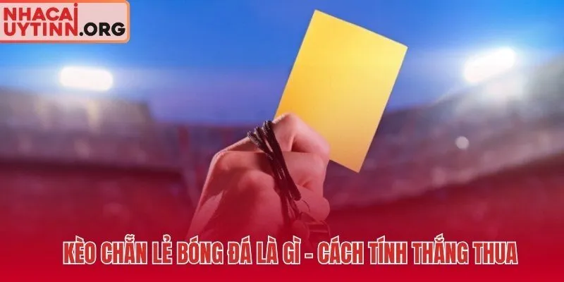 Kèo chẵn lẻ bóng đá và quy tắc tính tổng bàn thắng