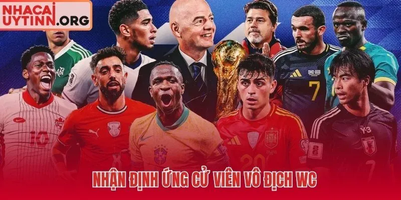 Phân tích odds từng ứng cử viên và dư địa value bet xác thực